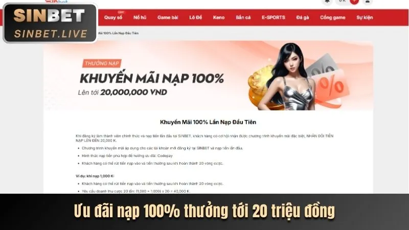 Ưu đãi đặc biệt cho thành viên VIP